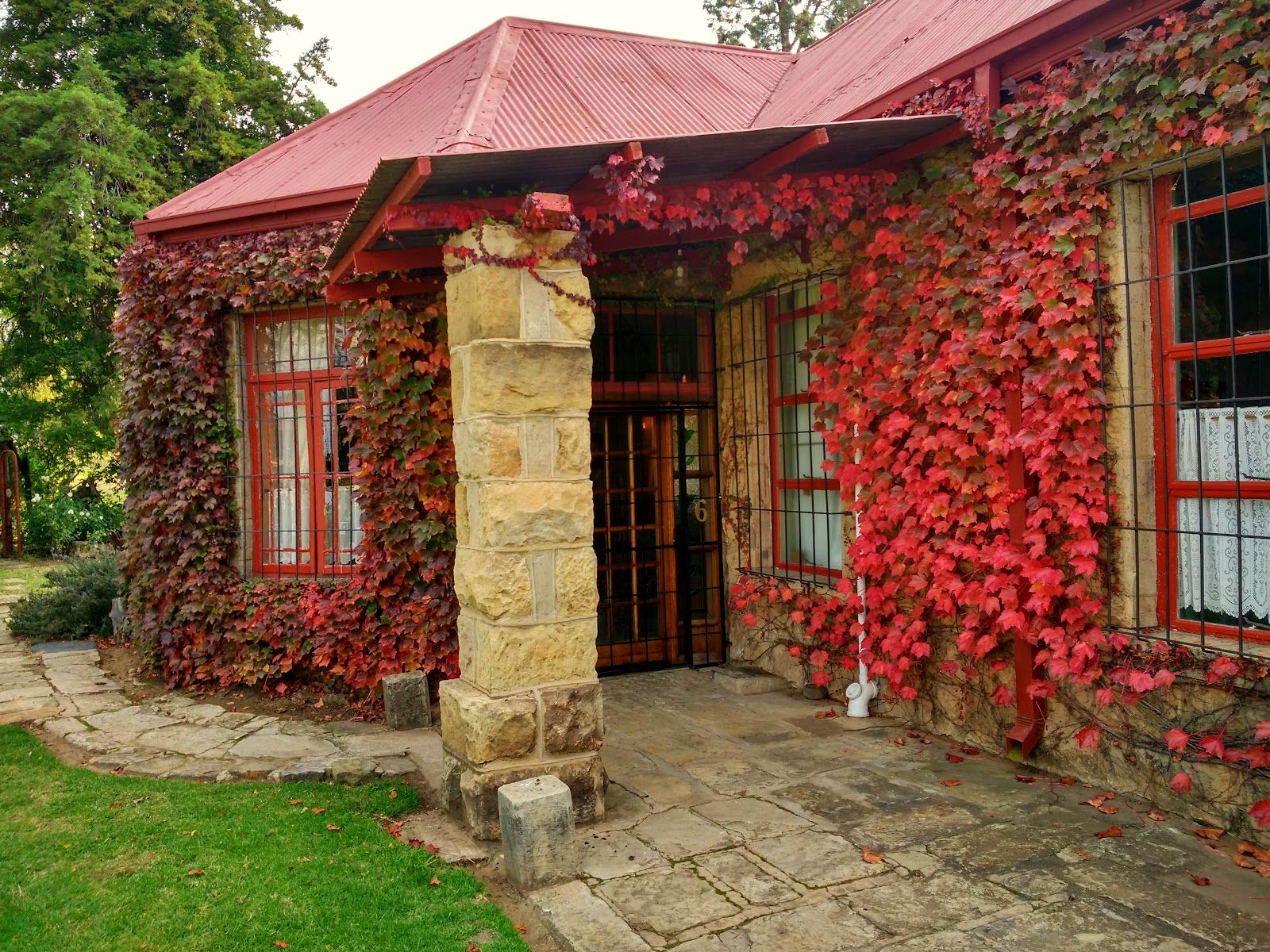 A cottage under the creeper